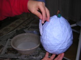 img0010.jpg