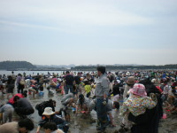 img0019.jpg