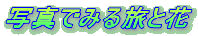 ʐ^ł݂闷Ɖ 