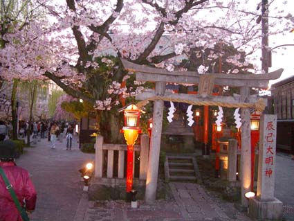 祇園 辰己大明神 桜