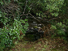 CVA4