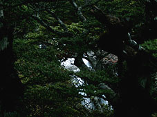 ۂ