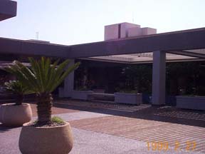 DCP01566