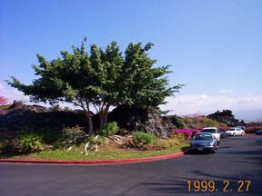 DCP01568