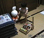 悢