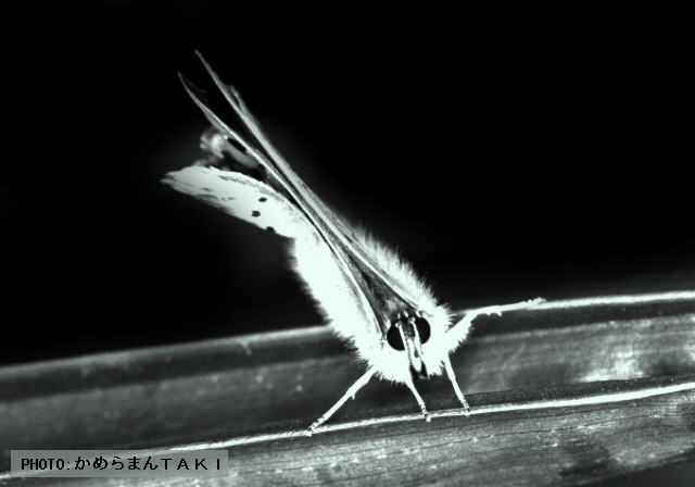 �u�x�j�V�W�~�v