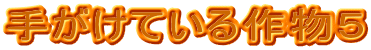 肪Ă앨T