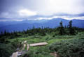 nakanoshiba