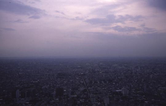 83shinjuku