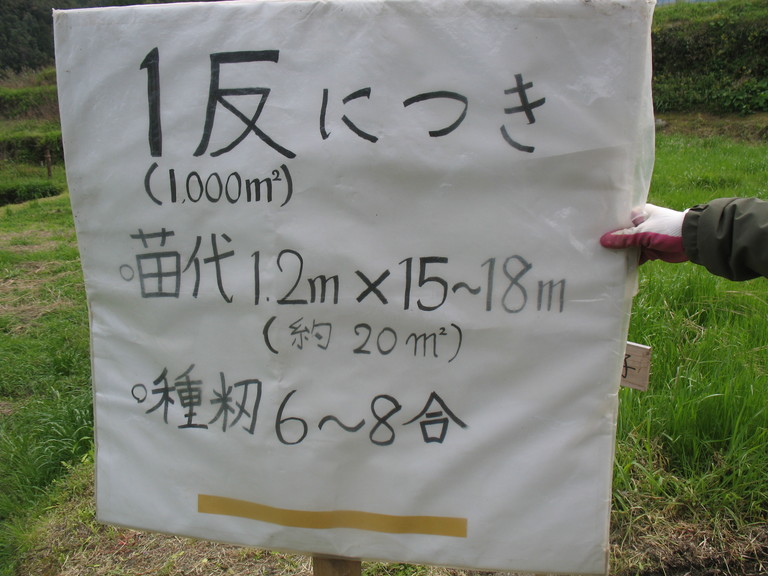 お米実習(種籾の必要量の説明)