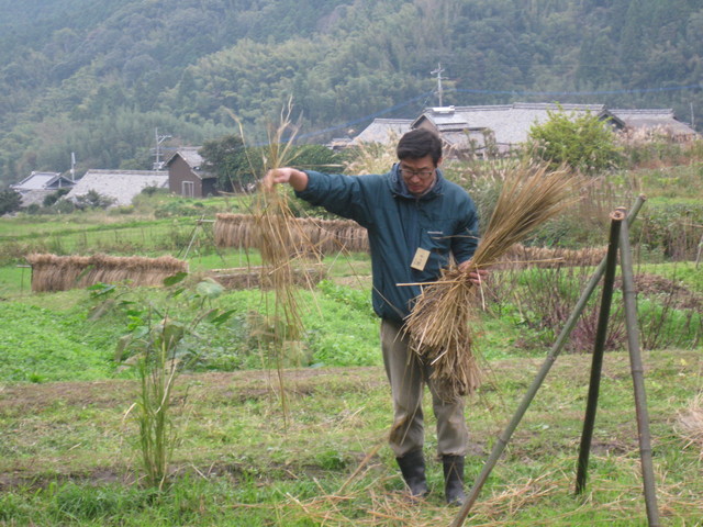 田んぼの実習(脱穀後の稲藁を田んぼに戻す)