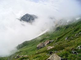 白馬岳 お花畑