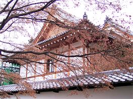 知恩院 冬枯れの楓
