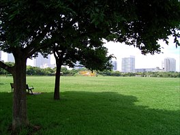 幕張海浜公園 木陰のベンチ