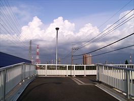 夏空
