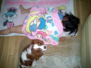 (-_-).$B!#(JoO