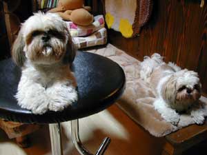 �~�~�ƃ���