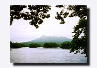 ����Ƌ�P�x