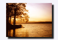 �H�̗[���E�ΔȂ̕��i