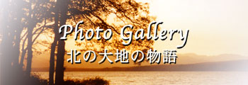 写真集・湖畔のたより・大沼国定公園,秋編
