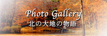 秋の風景写真集・北の大地の物語
