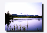 �m���܌΂̐X���C��΂ƒm���A�R