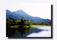 �m���܌΂̐X���C��΂ƒm���A�R