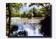 �m���܌΂̐X���C��΂Ɛ��ʂɉf��m���A�R