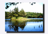 �m���܌΂̐X���C�O�΁E�ΔȂ̕��i