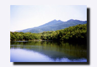 �m���܌΂̐X���C�l�΂ƒm���A�R