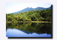 �m���܌΂̐X���C�܌΂ƒm���A�R