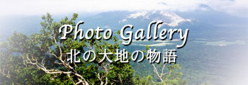 夏の風景写真集・北の大地の物語