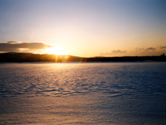 �~�̖閾�����E��̕���C���ق��