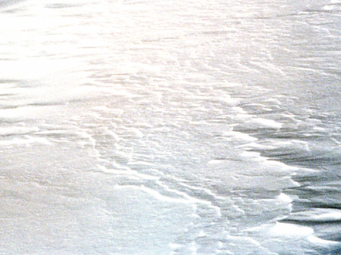 �␢�E�E��ʁE����C�~�̑����������E�������