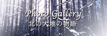 冬の風景写真集・北の大地の物語