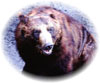 �R�ނ�ƃq�O�}�΍�