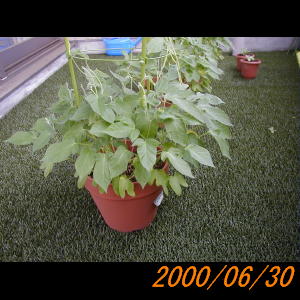 20000630_122552.jpg