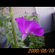 20000810_080407_thumb.png