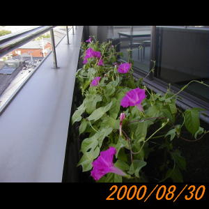 20000830_073839.jpg