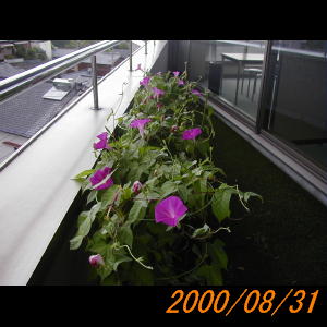 20000831_075459.jpg