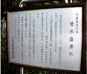 ���̎ʐ^�̐����f����