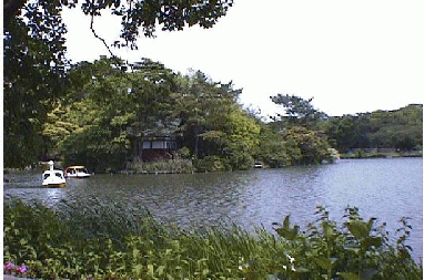 �����r(SENZOKU-IKE)�W��