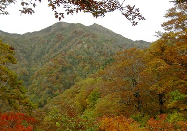 �Z�{�w����