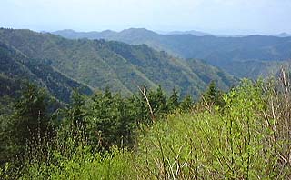 �������̔���