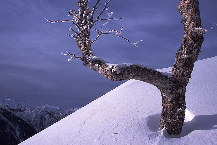 ���̓˒[�A����n�̂����ۂŁA��ۓI�ȃ_�P�J���o����{�����Ă����B