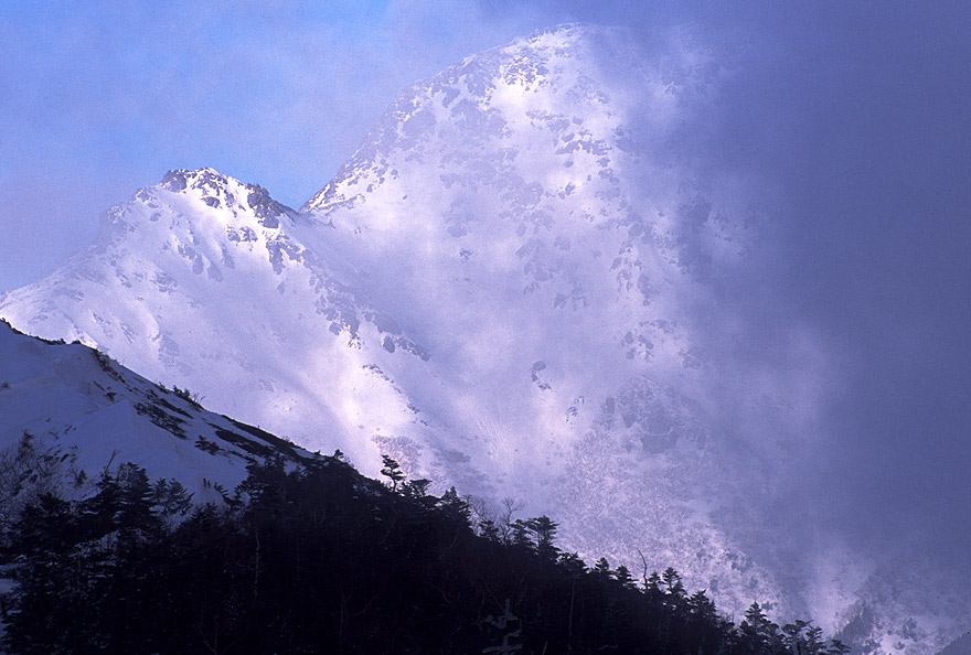 �[���A�L�����v�n�ɖ߂�ƁA��̕�����ړ����Ă����_�����ӂ𕢂��͂��߁A�����[����i�����o���Ă������B�@�����x���A���Ƃ͈قȂ����A���̓Ɠ��ȗ͈���p��\�킵�Ă��ꂽ�B