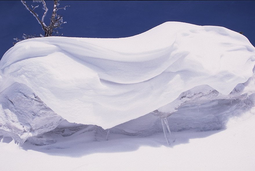 ���̓��A�O���R�ŗV�ԁB��N�ƈ��N�̏t�̎R�s���Ƃ͈���āA�C��͕��N���ɉ��₩�ŁA�@������h������悤�ȋ���Ȋ������Ȃ��A���K�ȗŐ��������y���ށB�Ƃ������Ƃ͖ܘ_�A�_���S��ƓˑR�̑�זv�ɔY�܂���邱�Ƃł����������B�@�@�O���R�ւ̓o��̓r���A��������̑��`�ɉ��x�����������B