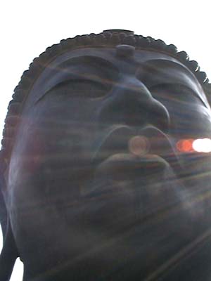 �����ʂ肩��