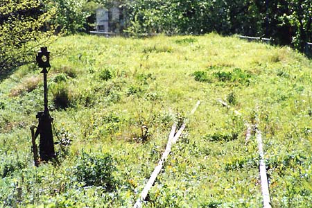 草に埋もれる転轍機