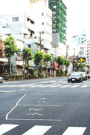 ニシもあった